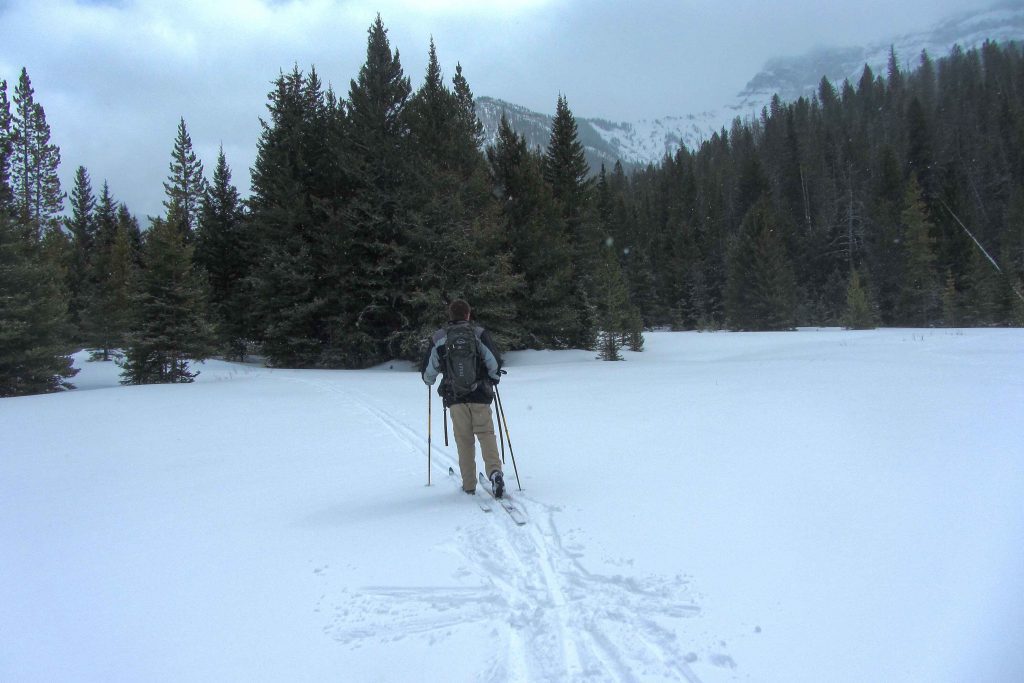 Cross-country skiing in Yellowstone National Park.
