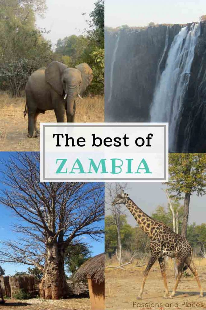 Zambia's not the most popular destination, but it has so much to offer. Our photos and introductory guide will convince you to visit!