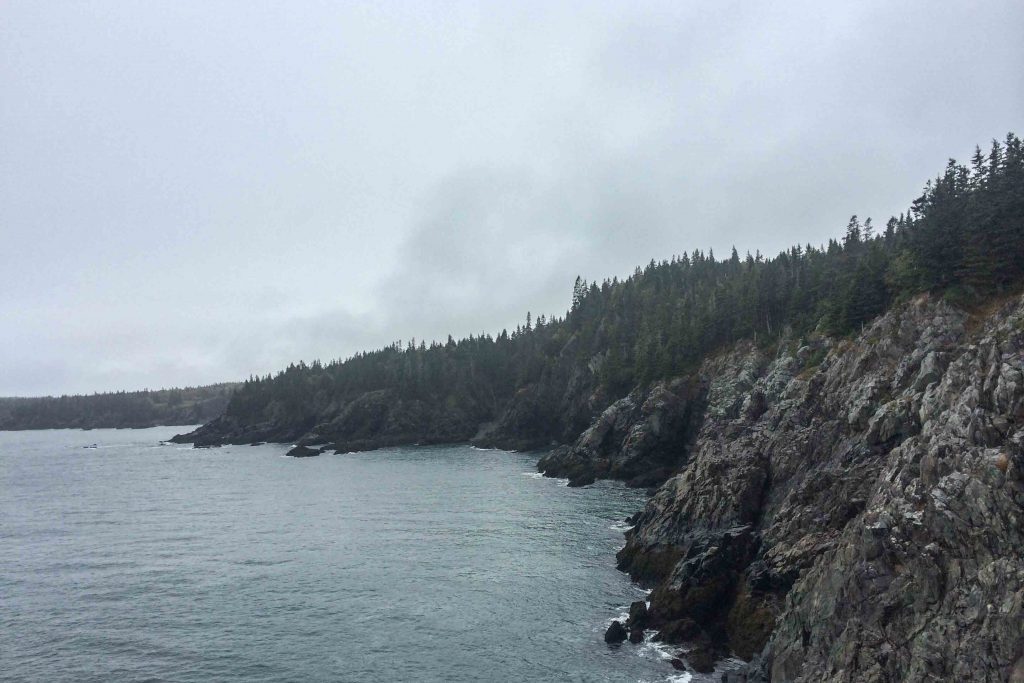 Cutler Coast in Maine is one of Ryan’s favorite spots for hiking. If you’re looking for some peace and quiet, you’ll love it, too! Click for details on planning your hike.