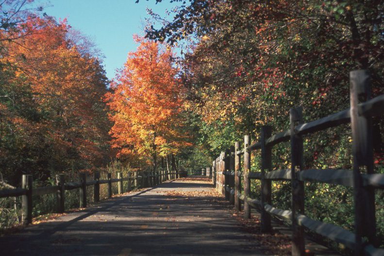 If you’re planning to travel to New England and you love the outdoors, you won’t want to miss the region’s best rail trails. They’re perfect cycling, walking, and running paths, and most have some history, too. Try one of our top bike rides in New England, and explore Boston, Cape Cod, Lake Champlain, and more.