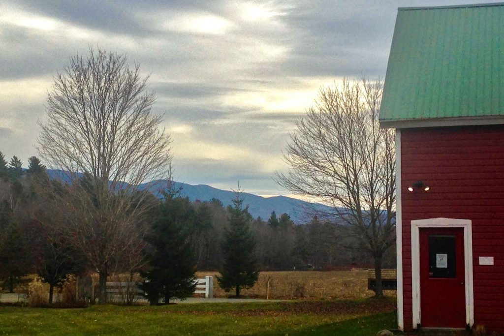 Vermont is known for its locavore movement and commitment to sustainability. The state has a vibrant local business scene, and many of its companies offer public tours. Visit a company like Ben & Jerry’s, Cabot Creamery, or Snow Farm Vineyard next time you travel to Vermont.