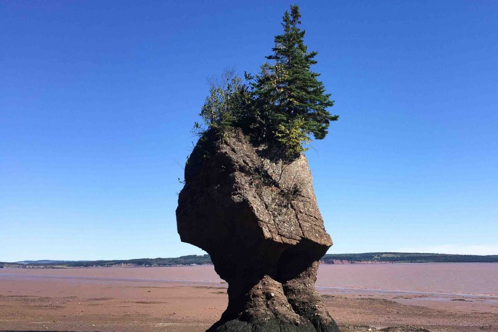 Fundy National Park in New Brunswick makes a great road trip or long weekend getaway, especially if you live on the East Coast of the U.S. or Canada. This guide covers all the best hiking, camping, and other activities the park has to offer, including the unique Hopewell Rocks in the Bay of Fundy.