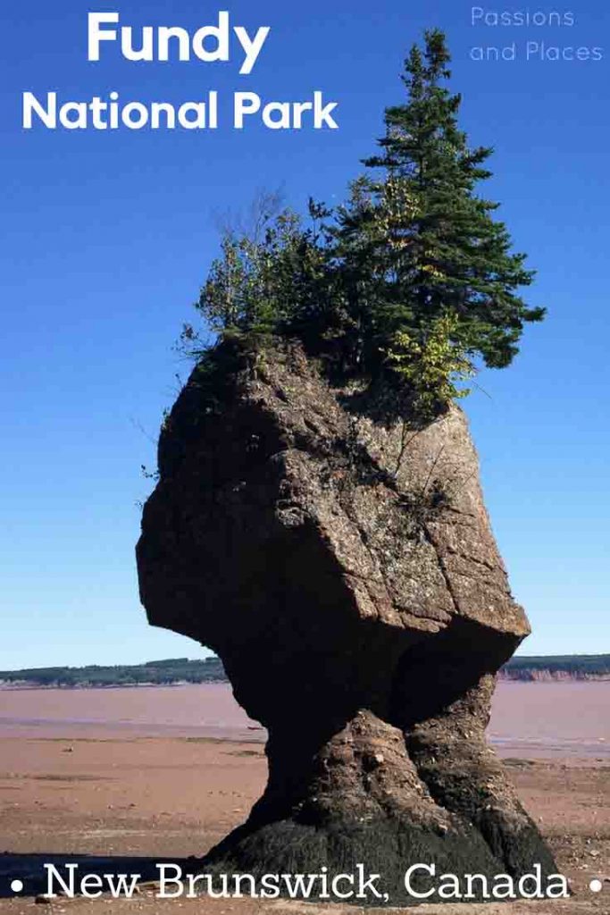 Fundy National Park in New Brunswick makes a great road trip or long weekend getaway, especially if you live on the East Coast of the U.S. or Canada. This guide covers all the best hiking, camping, and other activities the park has to offer, including the unique Hopewell Rocks in the Bay of Fundy.