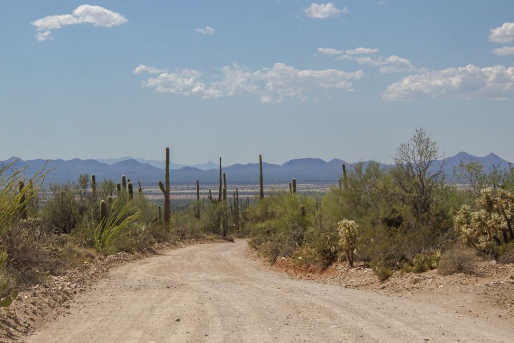 Dirt road with shrubs and cactuses on both sides and mountains in the background.