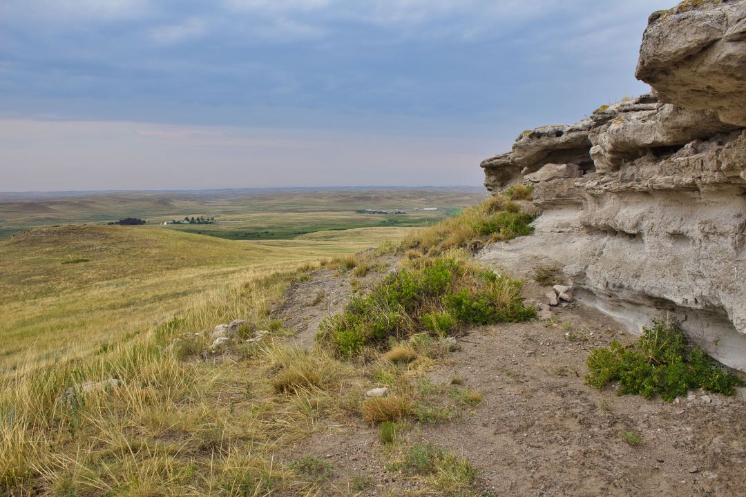 Rocky outcropping with low hills and yellowing grasslands in the background.