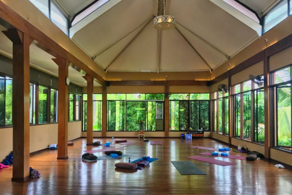 Yoga mats and props strewn about a hardwood floor. Windows surround the room and there are leafy palm trees outside.