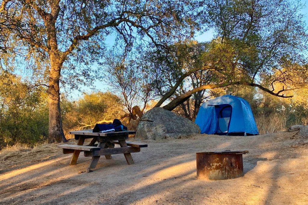 Bright blue tent pitched under an arched tree branch, behind a boulder, picnic table, and fire pit.