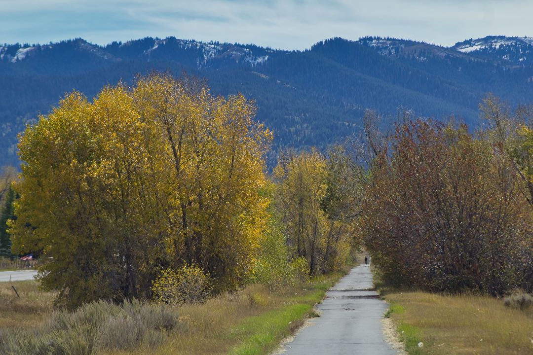 A gravel travel leads through a stand of trees with yellowing leaves towards a wall of mountains in the background.